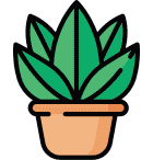 plant icon