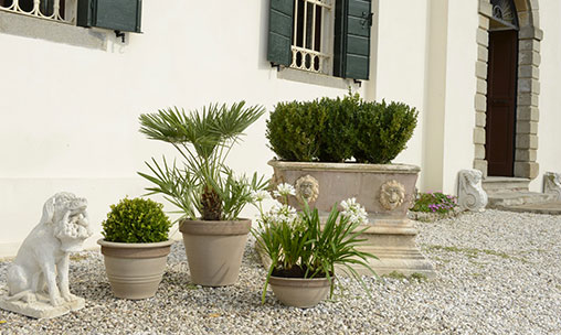 Vaso Palladio Graffiato in Terracotta —