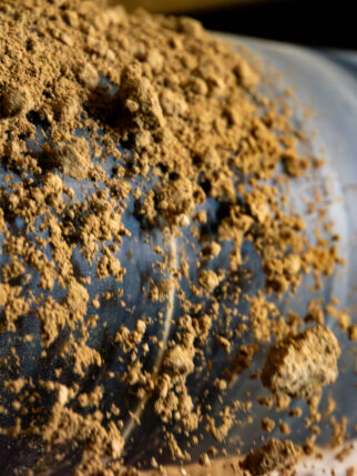 DSC_9108-Migliorato-NR