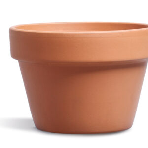Mezzo Vaso
