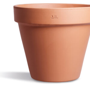 Vaso
